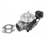 Egr-klapp WAHLER 7301D