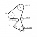 Hammasrihm GATES 5598XS