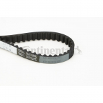 Hammasrihm CONTITECH CT1141