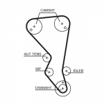 Hammasrihm GATES 5599XS