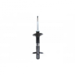 Amortisaator Magnum Technology AGP117MT