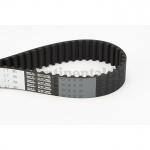 Hammasrihm CONTITECH CT994