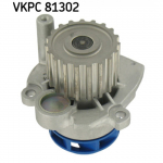 Veepump SKF VKPC 81302