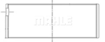 Kepsulaager MAHLE ORIGINAL 099 PL 10198 100