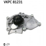 Veepump SKF VKPC 81231