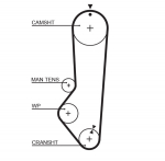 Hammasrihm GATES 5224XS