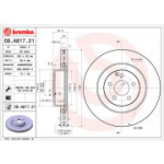 Piduriketas BREMBO 09.A817.21