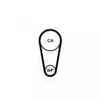 Hammasrihm CONTITECH CT1248