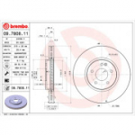 Piduriketas BREMBO 09.7808.11