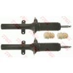 Amortisaator TRW JGM1062T