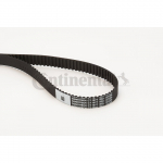 Hammasrihm CONTITECH CT1077