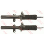 Amortisaator TRW JGM1066T