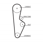 Hammasrihm GATES 5082XS