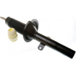 Amortisaator DENCKERMANN DSB171G