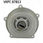 Veepump SKF VKPC 87813