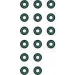 Tihendikomplekt, klapis&auml;&auml;r REINZ 12-54071-02