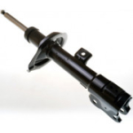 Amortisaator DENCKERMANN DSB069G