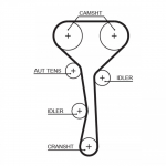 Hammasrihm GATES 5507XS