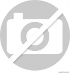 &Otilde;&otilde;tshoob, k&auml;&auml;ndmik HERTH+BUSS JAKOPARTS J4914045