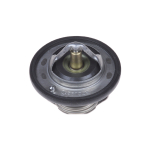 Termostaat, jahutusvedelik BLUE PRINT ADK89205