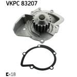Veepump SKF VKPC 83207