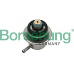 Andur, heitgaasisurve Borsehung B13669