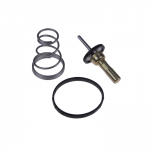 Termostaat, jahutusvedelik BLUE PRINT ADK89214