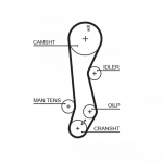 Hammasrihm GATES 5389XS