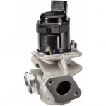 Egr-klapp HELLA 6NU 010 171-121