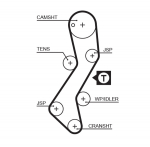 Hammasrihm GATES 5251XS