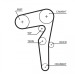 Hammasrihm GATES 5646XS