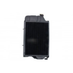 Radiaator,mootorijahutus THERMOTEC D7AG077TT