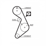 Hammasrihm GATES 5395