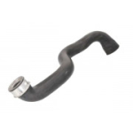 Laadimis&otilde;hu voolik THERMOTEC DCX100TT