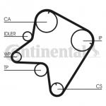 Hammasrihm CONTITECH CT762