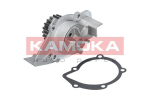 Veepump KAMOKA T0099