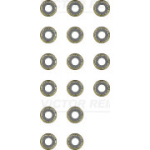 Tihendikomplekt, klapis&auml;&auml;r REINZ 12-39357-02