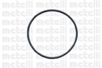Veepump METELLI 24-0424