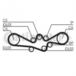 Hammasrihm CONTITECH CT792