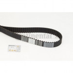 Hammasrihm CONTITECH CT1133