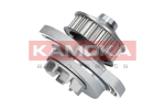 Veepump KAMOKA T0254