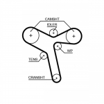 Hammasrihm GATES 5647XS
