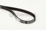 Hammasrihm CONTITECH CT1066