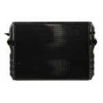 Radiaator,mootorijahutus THERMOTEC D7AG087TT