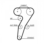 Hammasrihm GATES 5653XS