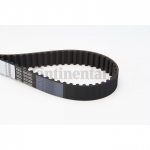 Hammasrihm CONTITECH CT583