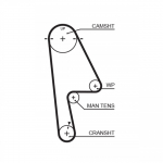 Hammasrihm GATES 5529XS