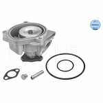 Veepump MEYLE 113 012 0019