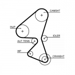 Hammasrihm GATES 5656XS