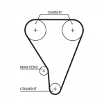 Hammasrihm GATES 5117XS